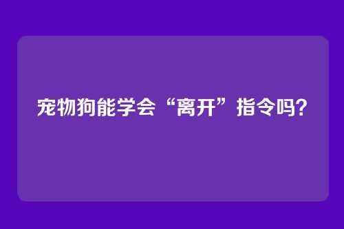 宠物狗能学会“离开”指令吗？