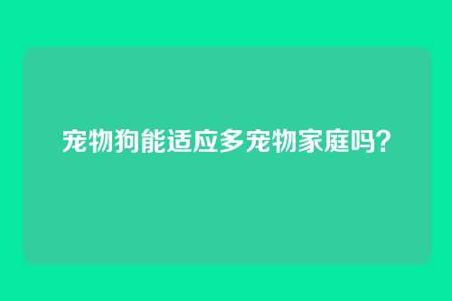宠物狗能适应多宠物家庭吗？