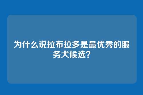 为什么说拉布拉多是最优秀的服务犬候选？