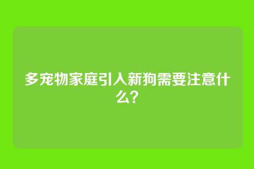 多宠物家庭引入新狗需要注意什么？