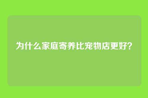 为什么家庭寄养比宠物店更好？