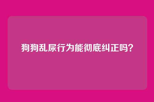 狗狗乱尿行为能彻底纠正吗？