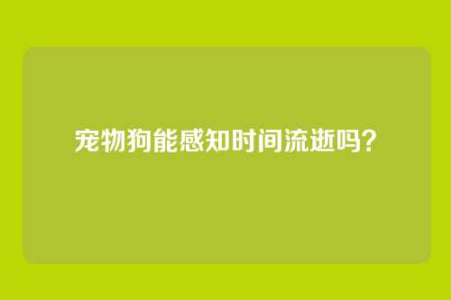 宠物狗能感知时间流逝吗?