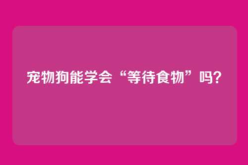 宠物狗能学会“等待食物”吗?