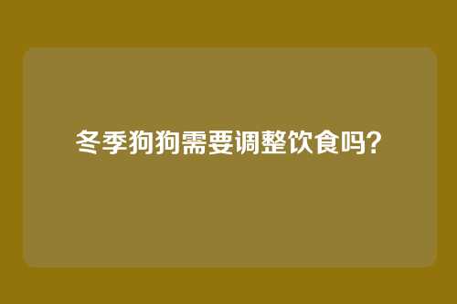 冬季狗狗需要调整饮食吗？