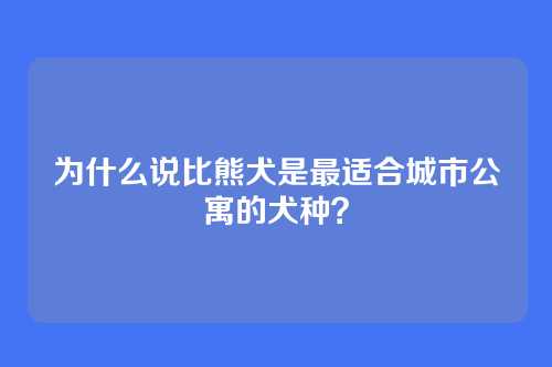 为什么说比熊犬是最适合城市公寓的犬种?