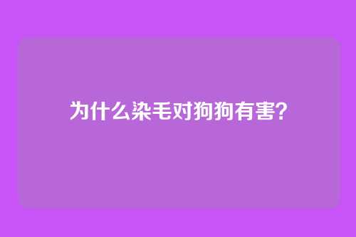 为什么染毛对狗狗有害?