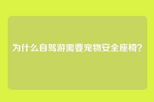 为什么自驾游需要宠物安全座椅？