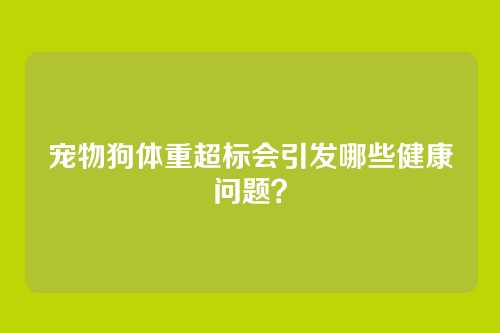 宠物狗体重超标会引发哪些健康问题?