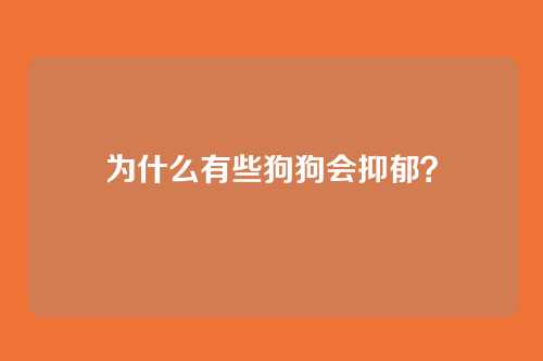 为什么有些狗狗会抑郁?