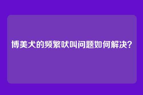 博美犬的频繁吠叫问题如何解决?