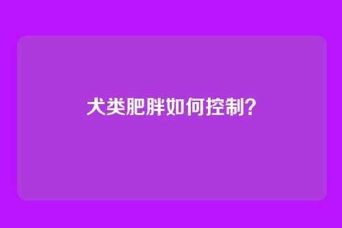 犬类肥胖如何控制？