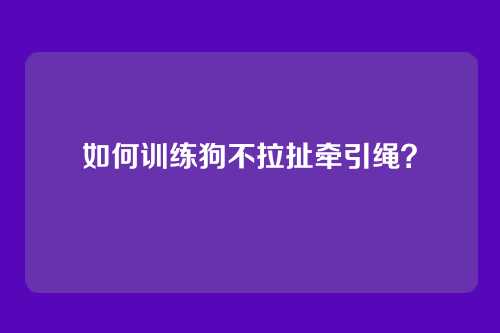 如何训练狗不拉扯牵引绳？