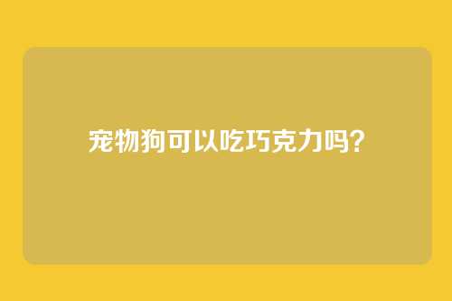 宠物狗可以吃巧克力吗?