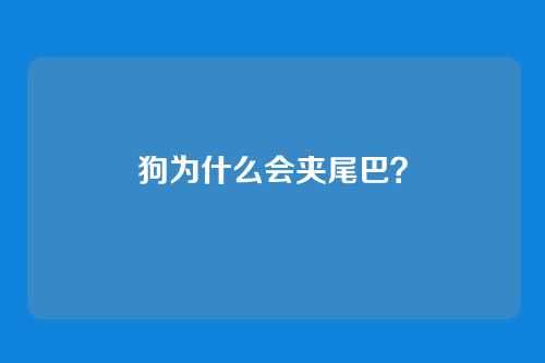 狗为什么会夹尾巴？