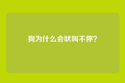 狗为什么会吠叫不停?