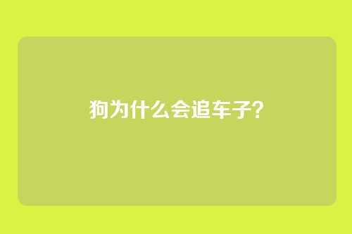 狗为什么会追车子？