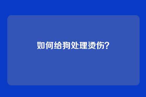 如何给狗处理烫伤?