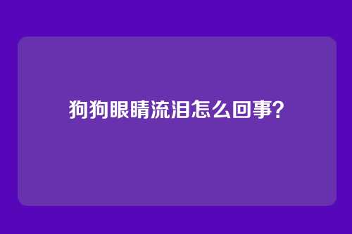 狗狗眼睛流泪怎么回事？