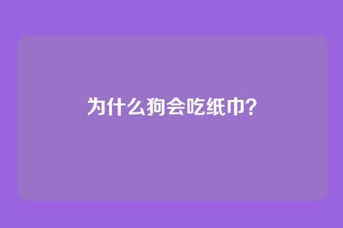 为什么狗会吃纸巾？