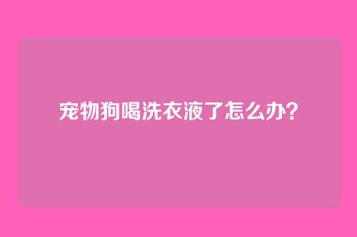 宠物狗喝洗衣液了怎么办?