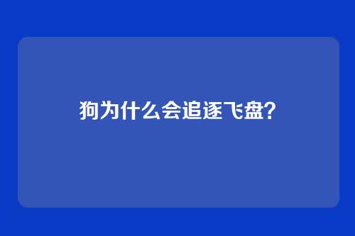 狗为什么会追逐飞盘？