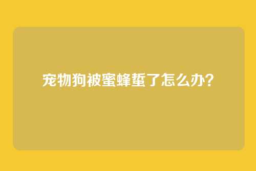 宠物狗被蜜蜂蜇了怎么办?