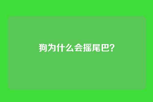 狗为什么会摇尾巴？