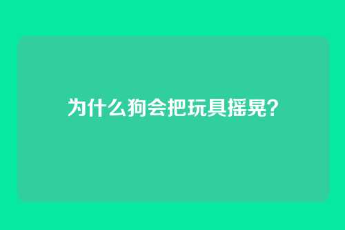 为什么狗会把玩具摇晃?