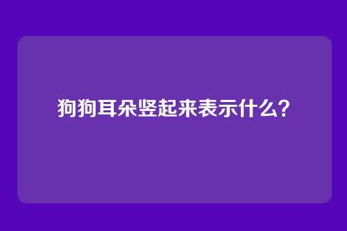 狗狗耳朵竖起来表示什么？