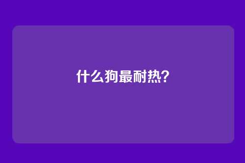 什么狗最耐热？