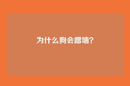 为什么狗会蹭墙？
