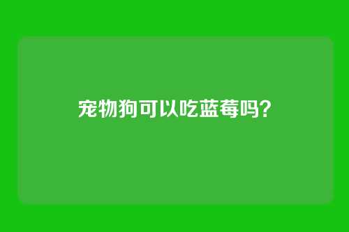 宠物狗可以吃蓝莓吗?