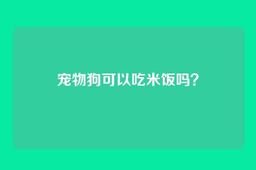 宠物狗可以吃米饭吗?