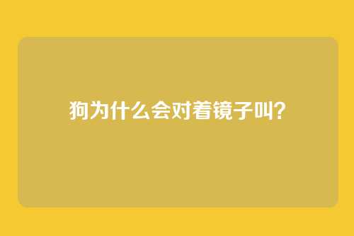 狗为什么会对着镜子叫?