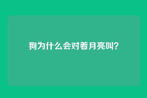 狗为什么会对着月亮叫?