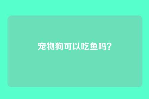 宠物狗可以吃鱼吗？