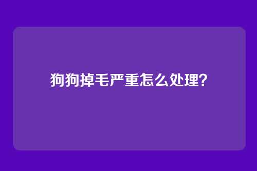 狗狗掉毛严重怎么处理？