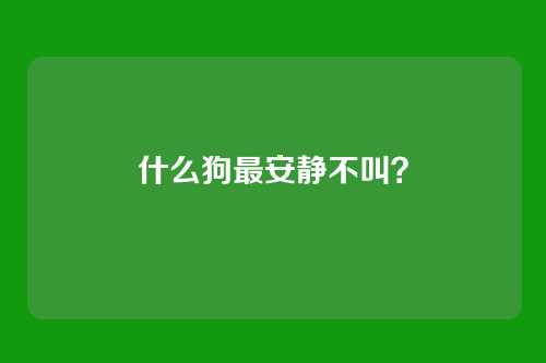 什么狗最安静不叫？