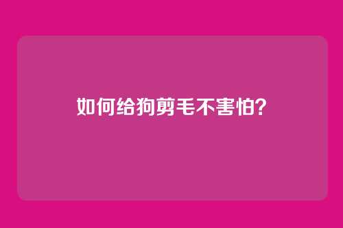如何给狗剪毛不害怕？