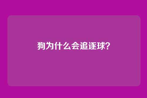 狗为什么会追逐球?