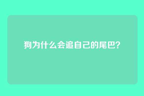 狗为什么会追自己的尾巴？