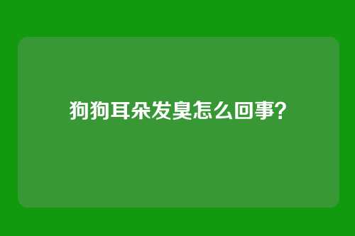 狗狗耳朵发臭怎么回事？