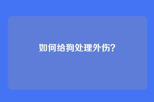 如何给狗处理外伤？