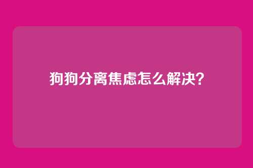 狗狗分离焦虑怎么解决?