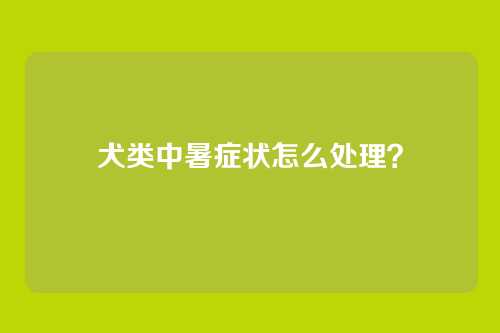 犬类中暑症状怎么处理?