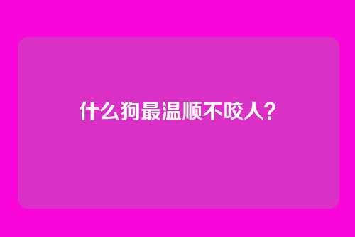 什么狗最温顺不咬人？