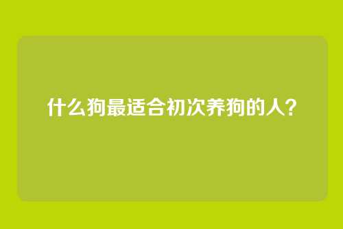 什么狗最适合初次养狗的人？