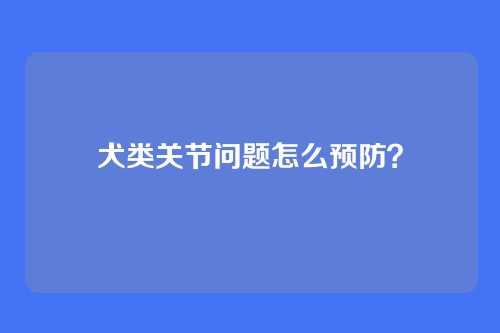 犬类关节问题怎么预防？
