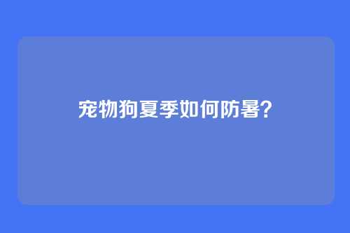 宠物狗夏季如何防暑？
